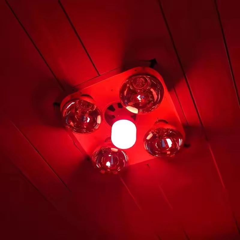 Neue Hochleistungs-Rote LED-Gl – Lighting Christmas Decor Bewertung und Preis